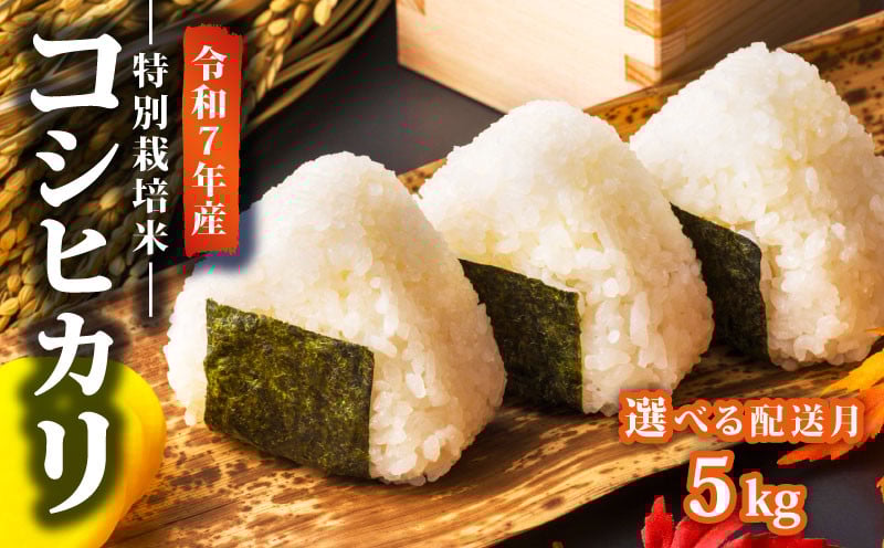 
            【先行予約】令和7年産 新米 特別栽培米 コシヒカリ 選べる 配送月 5kg 減農薬 特栽米 新潟県産コシヒカリ 新発田産 新潟 ふるさと納税 米 お米 アグリ中俵 新潟県 新発田市 nakatawara001P
          