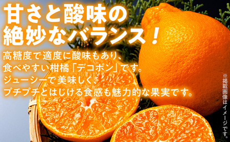 デコポン 1kg 【2月上旬頃から順次発送】 不知火 デコポン