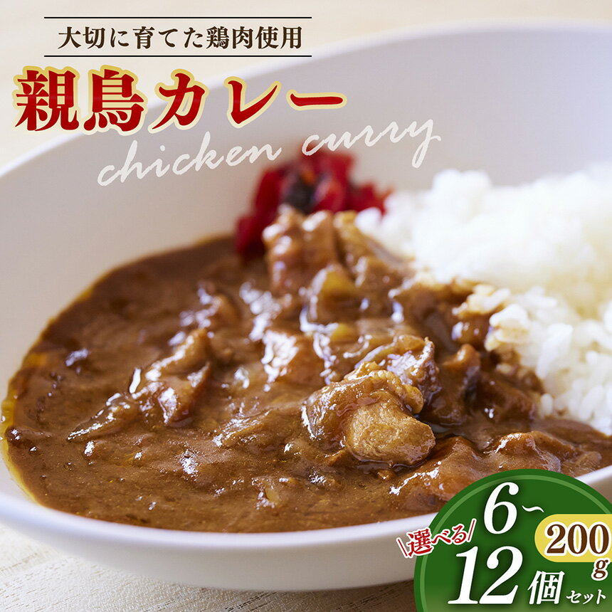 【ふるさと納税】親鳥カレー 6個~12個 セット | 卵 たまご 玉子 タマゴ 親鳥 カレー チキンカレー さかもと養鶏 奈良県 五條市