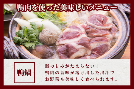 【数量限定】椎葉村産 合鴨 胸肉【合計500g】