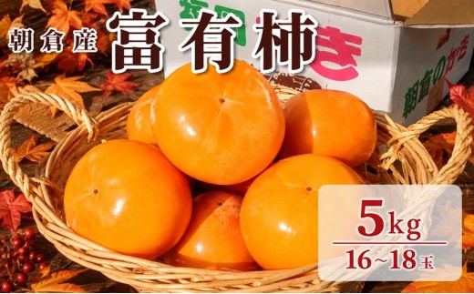 
            柿 富有柿 朝倉産 5kg 16玉～18玉 朝倉りんご園
          
