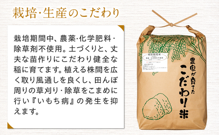 AB1-015 特別栽培米　コシヒカリ（玄米）30kg