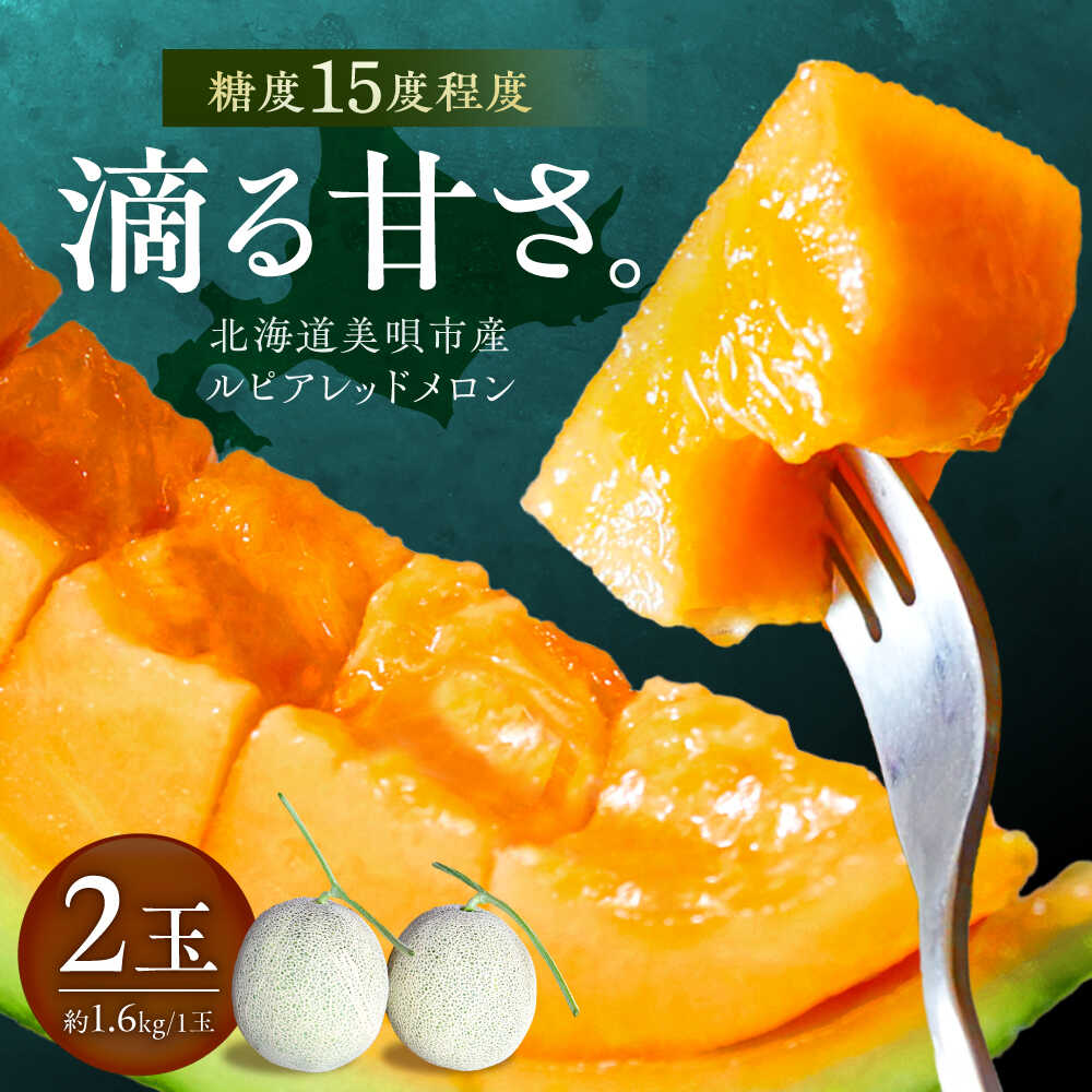 【ふるさと納税】【2026年7月〜順次発送】 赤肉 メロン ルピアレッド 2玉 | 赤肉メロン めろん 先行予約 北海道 メロン赤肉 | JAみねのぶ[BOAG007]
