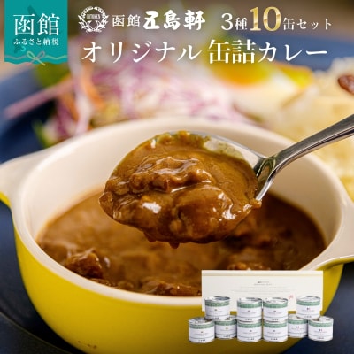 五島軒　オリジナル缶詰カレー10缶ギフト_HD030-010