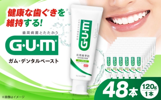 【最短7日以内発送】GUM デンタルペースト(ST) 120g×48本 歯磨き はみがき ハミガキ 歯磨き粉 歯みがき粉 薬用 医薬部外品 歯周病 虫歯 口臭 予防 大容量 人気 定番 おすすめ 歯周病予防 歯肉炎 口臭ケア デンタルケア オーラルケア 殺菌成分配合 ハグキケア 歯茎ケア 口内ケア エチケット ストック まとめ買い 日用品 消耗品 大阪府高槻市/サンスター[AOAD011]
