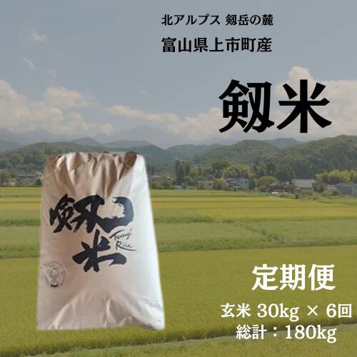 【ふるさと納税】【毎月1回お届け】【定期便】【令和7年産】上市町産コシヒカリ「剱米」（玄米）30kg x 6回 計180kg　 [ソムリエH 富山県 上市町 32280253-r6-05】 米 6ヶ月 6回定期便 定期購入 お米 コメ ご飯 ごはん 玄米ご飯 玄米ごはん こしひかり 富山県産