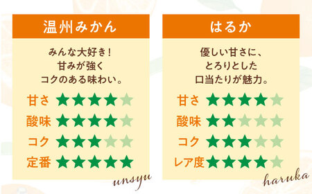 みかんジュース （720ml5本セット） 【2026年5月下旬から順次発送】  みかんジュース [AGBW005] 