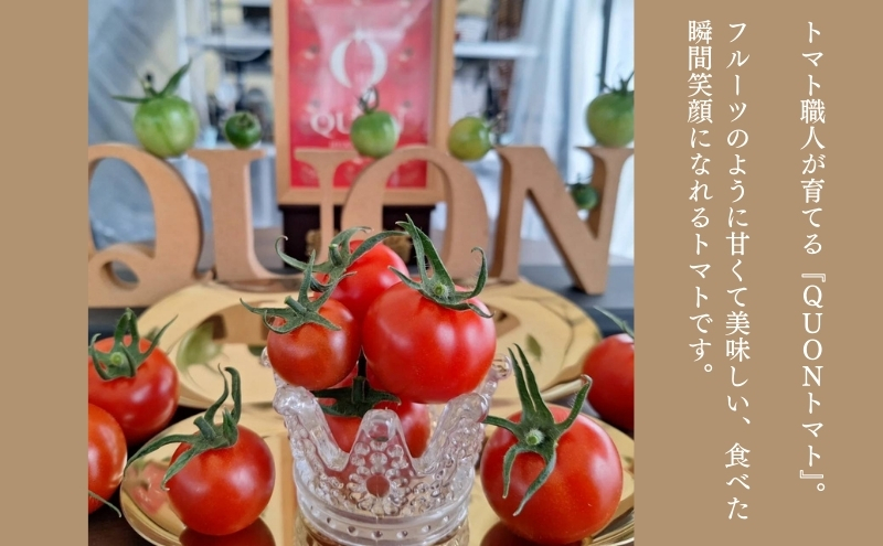 訳あり ミニトマト 「 QUONトマト 」 サイズ混合 1kg 化粧箱入[ QUON 甘い トマト 志づ華乃 高糖度 ご家庭用 ]