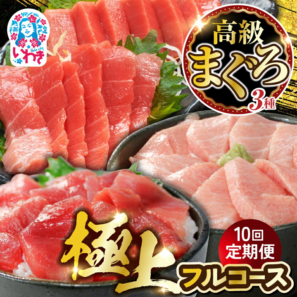 【ふるさと納税】【定期便10回】高級マグロ・極上フルコース | いわき市 ふるさと納税 株式会社東日本貿易 鮪 本鮪 本まぐろ マグロ 刺し身 さしみ さかな 海鮮 寿司 解凍レシピ付 定期便10回 本鮪 大トロ 中トロ 赤身 三種 食べ比べ プレミアムコース | DG033-t10