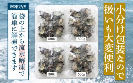【期間限定】天然 さざえ ボイル済 26～30個入 2kg（500g × 4袋）産地直送でお届け！【越前町産 栄螺 サザエ 冷凍 小分け 海鮮 BBQ バーベキュー】 [e14-a011]