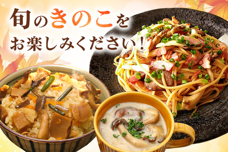 きのこの詰め合わせ Mサイズ（茨城県共通返礼品・城里町産）