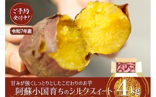 【下巣畑農産】先行予約 令和7年産 熟成『小国シルクスィート』4kg