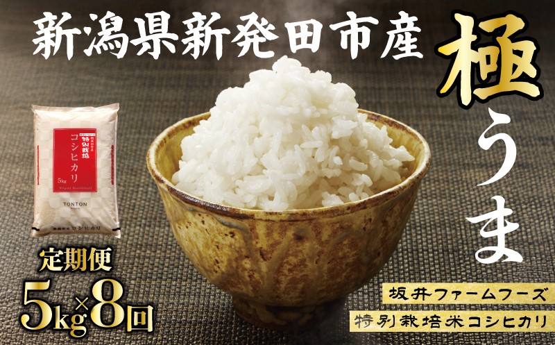 
                  令和8年産 コシヒカリ 新潟 5kg×8か月 新潟県産 特別栽培米コシヒカリ 坂井ファーム お米 定期便 5kg 40kg 8か月 新潟 新発田 コシヒカリ seidaSK007
                