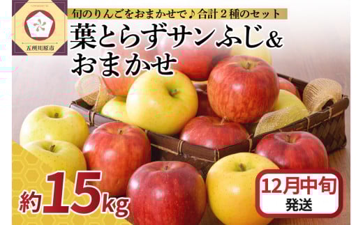 【2025年12月中旬発送】 りんご 15kg 詰め合わせ 計2種(葉とらず サンふじ と 他1種)