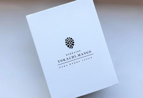 ［先行受付］十勝マンゴーLサイズ×2玉【C40】