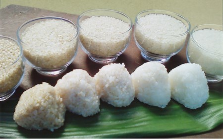 【先行予約】 農薬 使わない 栽培 ！ 糸島産 ヒノヒカリ 5kg、 玄米食 ・ 分搗き 対応！【2025年10月下旬以降順次発送】《糸島》【二丈赤米産直センター】 [ABB005] 米 ひのひかり