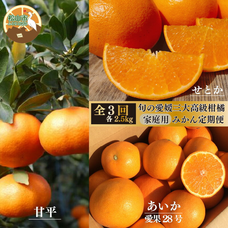 【ふるさと納税】【2025年12月上旬から発送】【定期便 全3回】旬の愛媛三大高級柑橘 家庭用 【愛果28号 せとか 甘平】約2.5kg | 柑橘 みかん 果物 あいか 紅まどんな と同品種 くだもの フルーツ おすすめ 高級 人気 お取り寄せ 期間限定 数量限定 ご当地 愛媛県 松山市