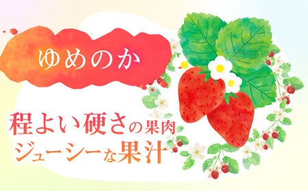 朝摘み 愛知県産 いちご 4品種食べ比べ 約200g×計4パック 苺 完熟 ギフト 愛西市/くぼ苺農園[AECJ007]