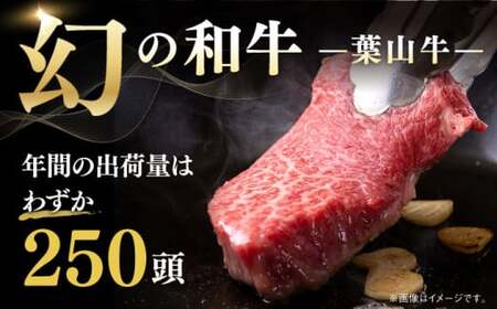 葉山牛 800g　ローススライス ／  すき焼き すき焼き [ASBD006]
