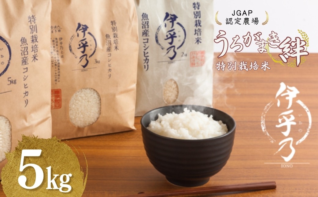 
            【JGAP認証農場】令和7年産 魚沼産コシヒカリ 特別栽培米「伊乎乃」 精米5kg うちがまき絆【0002-UK09-01】
          