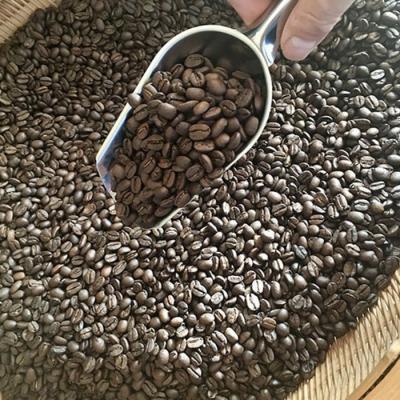 ふるさと納税 東御市 【豆のまま】【JUKE JOINT COFFEE】ダークローストブレンド&サウステラAA合計400g |  | 01
