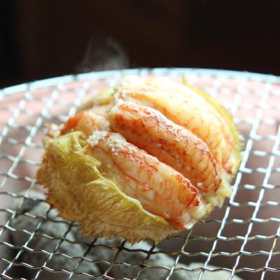 ふるさと納税 稚内市 毛がに 甲羅盛(1個入)究極の贅沢! 殻剥き不要で食べやすい♪ |  | 01