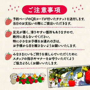 上杉農園のいちご狩り 2026年1月～発送 大人3人利用券 イチゴ いちご いちご いちご いちご いちご