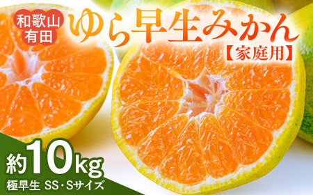 【ご家庭用 極早生】和歌山有田ゆら早生みかん約10kg(SS、Sサイズ)【美浜町】 ※北海道・沖縄・離島への配送不可 ※2025年10月下旬～11月下旬頃に順次発送予定