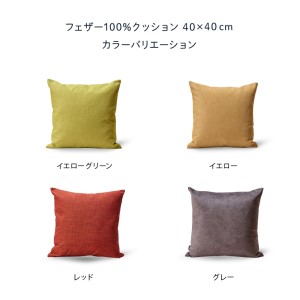 blocco フェザー100％ クッション（40cm×40cm） 460099 レッド