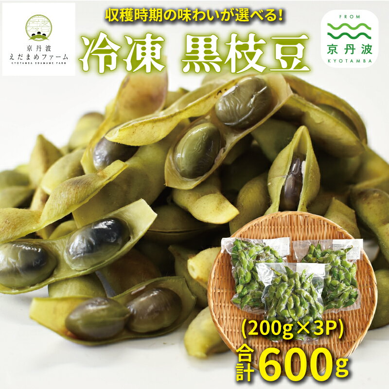 【ふるさと納税】 冷凍 丹波黒枝豆 熟成 600g（200g×3パック） 選べる タイプ レギュラー 熟成 【 国産 京都 丹波 黒豆 えだまめ ビール おつまみ ご当地グルメ 特産品 】 ※北海道・沖縄は配送不可