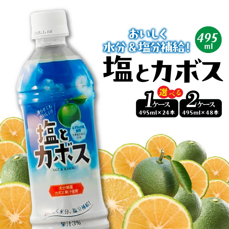 【ふるさと納税】【選べる容量】塩とカボス 495ml ドリンク ジュース 大分県産