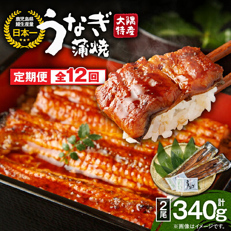 【ふるさと納税】【定期便12回】大隅特産うなぎ蒲焼2尾（340g）×12回 合計24尾 計4.08kg 【国産】たれ付 真空パック 湯煎 レンジ 簡単調理 国産 国産うなぎ 定期 うなぎ蒲焼 小分け 定期便 鹿児島県 鹿屋市 コンシェルジュ【寺園商店】