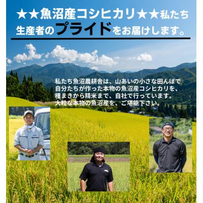 ふるさと納税 魚沼市 【毎月定期便】米農家自慢の魚沼産コシヒカリ精米10kg(5kg×2袋)全12回 |  | 02