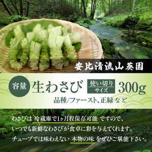 岩手県産 生わさび 使い切りサイズ 300g 【安比清流山葵園】 ／ 山葵 ワサビ わさび 薬味 国産 八幡平市産 産地直送 新鮮 調味料 刺身 蕎麦 和え物 漬け物 刻み おろし 辛味 お寿司 そば