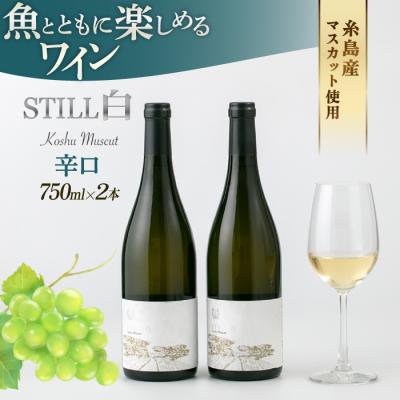 ふるさと納税 糸島市 【糸島マスエワイナリ】STILL白Koshu Muscut 2本 糸島市[AEP002]