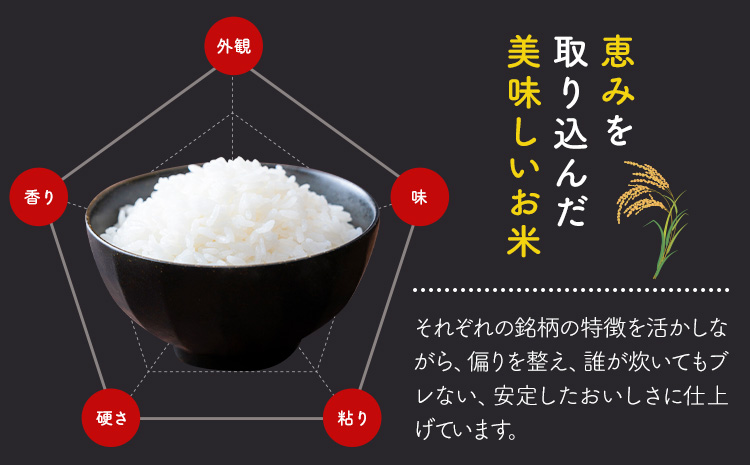 【12ヶ月定期便】米 かぐやのほほえみ 10kg 白米 《お申込みの翌月から出荷開始》 福岡県 小竹町 お米 ブレンド米 国産---ktk_khhtei_219500_10kg_mo12---