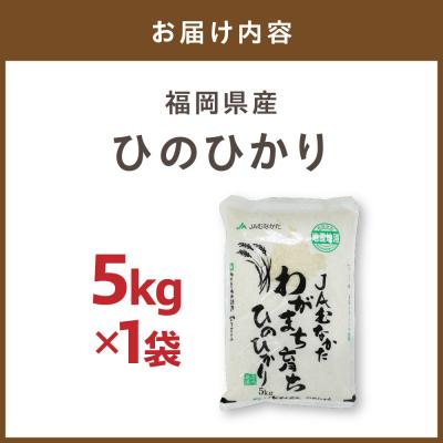 ふるさと納税 宗像市 「ひのひかり」5kg【ほたるの里】_HA1786 |  | 01