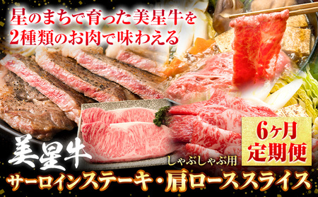【6ヶ月定期便】美星牛 定期便 ハレノヒ良品 牛 肉