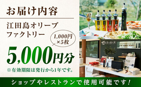 絶品オリーブオイルを江田島で！ 『江田島オリーブファクトリー』 商品券 5000円分（1000円分×5枚） オリーブオイル ドレッシング 食用油 ギフト 簡単 レシピ 国産 広島県産 江田島市/山本倶