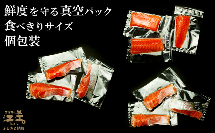 北海道産 サーモンの三種セット ルイベ〈冷凍刺身〉お刺身用ブロック・切り身［塩］・切り身［無塩］ 各3個 計9個　日本海 かもめ島海面養殖　純国産 ブランドサーモン『江さしっ子 繁虎』　とろける脂　活