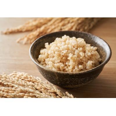 ふるさと納税 西脇市 兵庫県産　令和7年産 【コシヒカリ 玄米 20kg】(10kg×2袋)