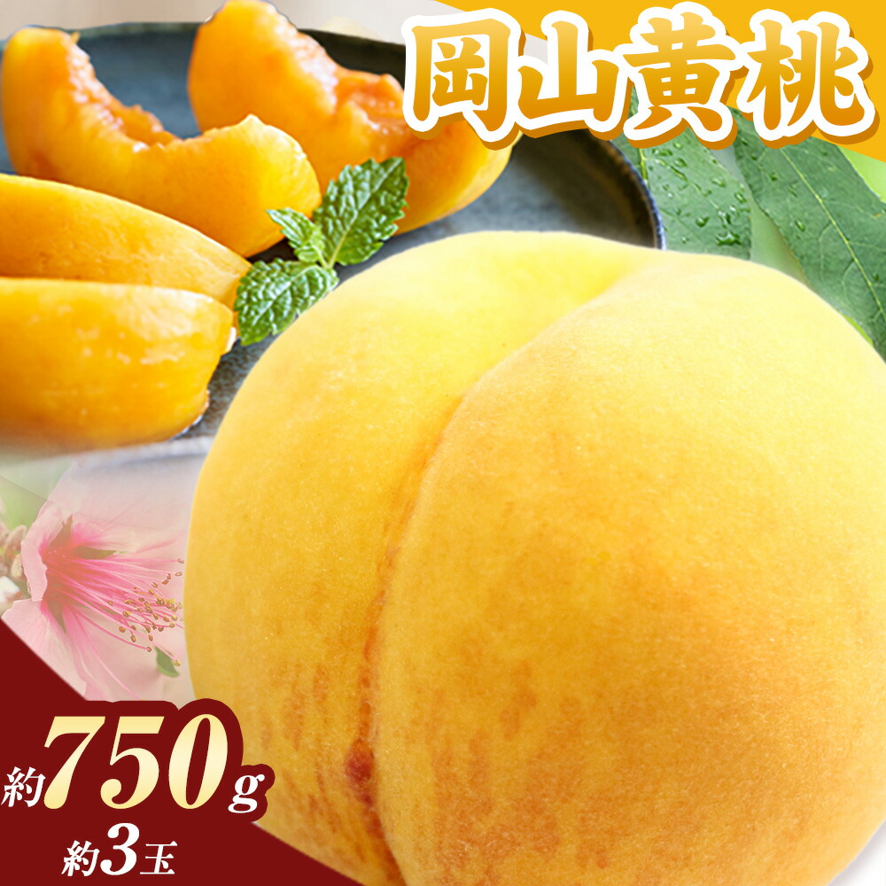 桃 岡山の桃 黄桃 約750g《2025年8月下旬-9月下旬頃出荷》 ご家庭用 訳あり 岡山 旬 モモ もも 先行予約 送料無料 果物 岡山県 笠岡市 クール便---kasaoka_zsy_39_075---