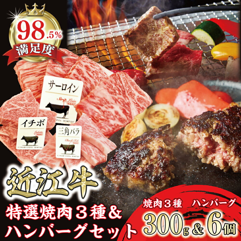 【ふるさと納税】特撰近江牛おすすめ部位 焼肉3種300g＆近江牛生ハンバーグ6個セット 焼肉 ハンバーグ セット 牛肉 国産 近江牛 近江フードJAPAN 冷凍