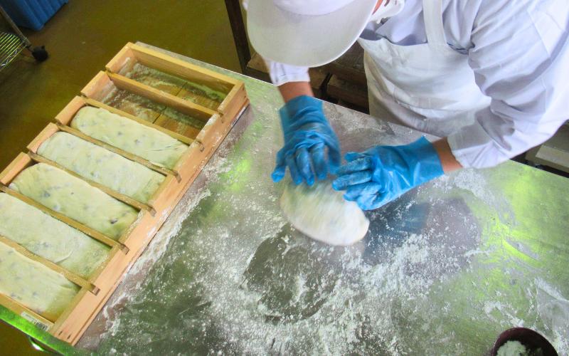 和楽の切り餅 えび味 5袋｜鳥取 もち モチ お餅【52013】