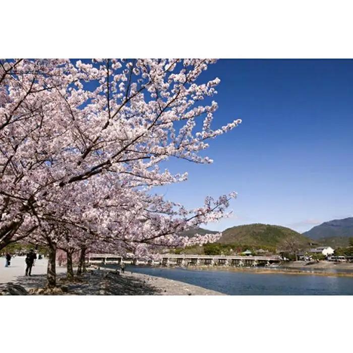 【京都市】JTBふるさと旅行券（900,000円分）有効期間5年 | 予約 宿泊 観光 体験 温泉 ホテル 旅館 チケット 子供 子連れ カップル 家族 店頭 電話 京都