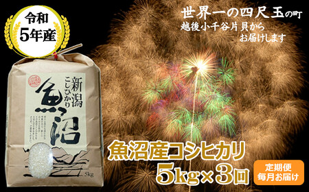 r05-30-6K ＜令和5年産＞魚沼産コシヒカリ定期便 5kg×3回（毎月お届け）【米萬】白米 魚沼 米 定期便