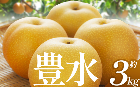 【2025年秋先行予約】 豊水 3kg | 送料無料 栃木県 下野市 梨 幸水 果物 フルーツ デザート