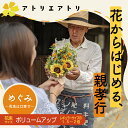 【ふるさと納税】 花から始める親孝行［めぐみ］お花ボリュームアップサイズ FAF002