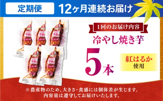 【全12回定期便】紅はるか 冷やし焼き芋 5本入 / やきいも 焼いも 焼芋 冷蔵 しっとり / 亀山市 / 芋笑 [AMBU016]