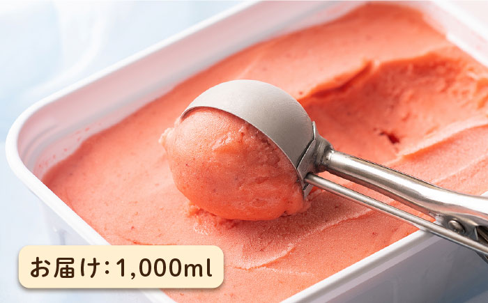 糸島産濃厚あまおうジェラート1000ml《糸島》【南国フルーツ株式会社】 [AIK005]